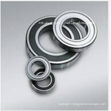 Auto Bearing, High Quality Bearing Deep Groove Ball Bearing 6005, 6005z, 6005-2z, 6005RS, 6005-2RS, 6005n